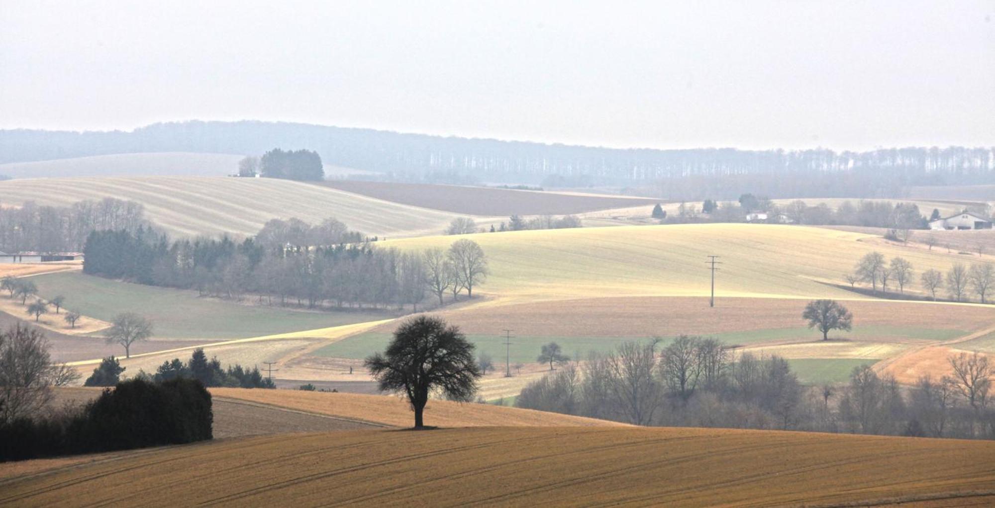 Ferienwohnung Jung Und Lind Bretten Kültér fotó